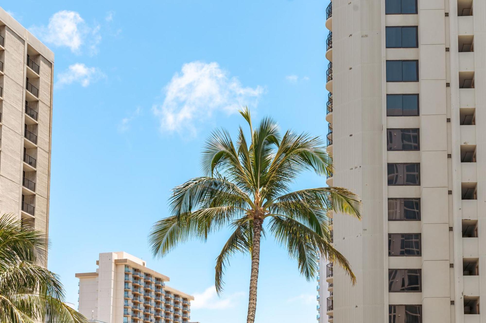Cozy Waikiki Getaway, Stroll To Beach With Free Parking Honolulu Bagian luar foto