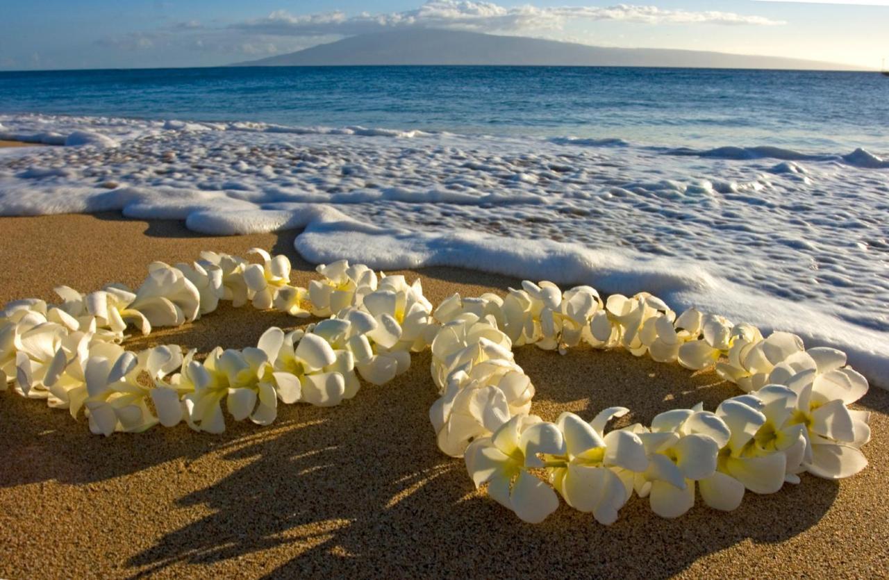 Cozy Waikiki Getaway, Stroll To Beach With Free Parking Honolulu Bagian luar foto